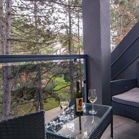 Tibor Apartman Zlatibor